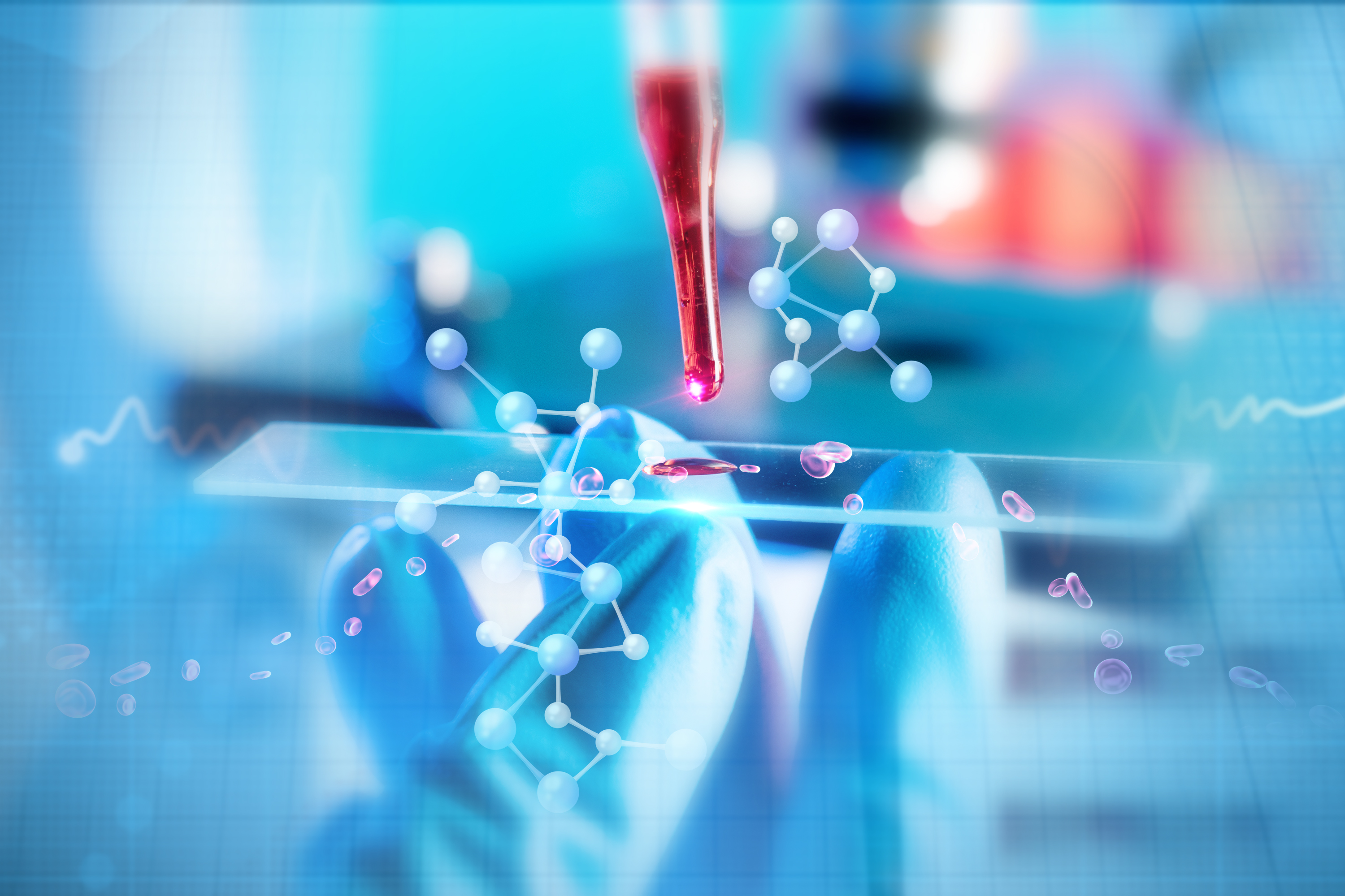 生物切片生物病理切片生物教学病理标本