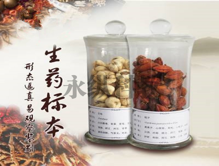 中、草药标本