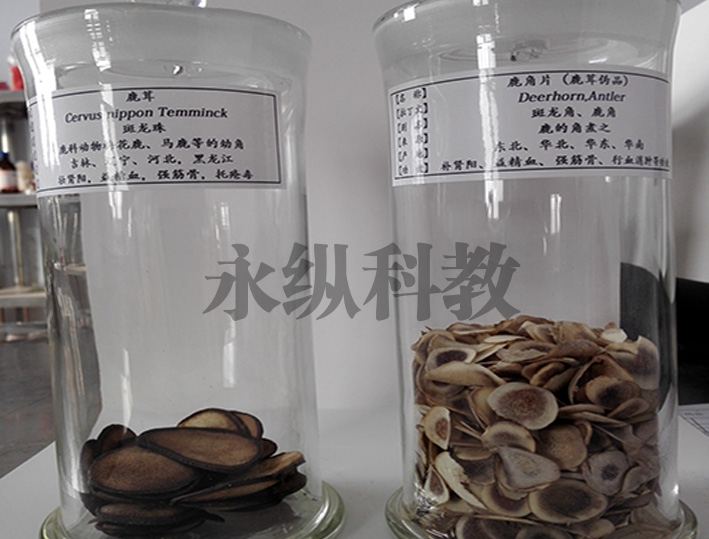 中、草药标本