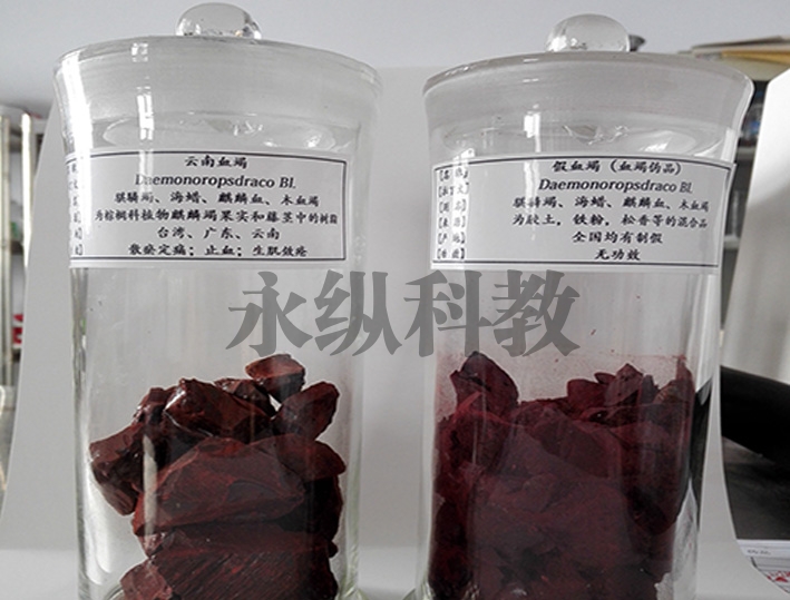 中、草药标本