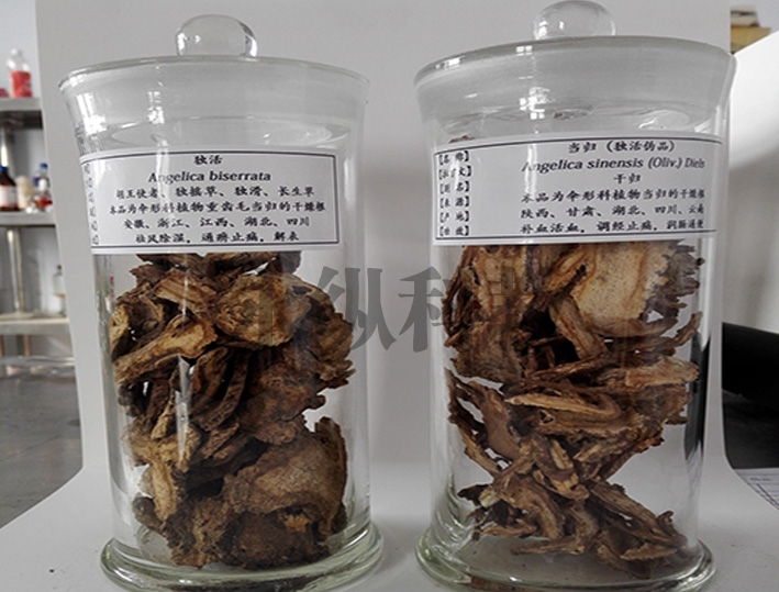 中、草药标本