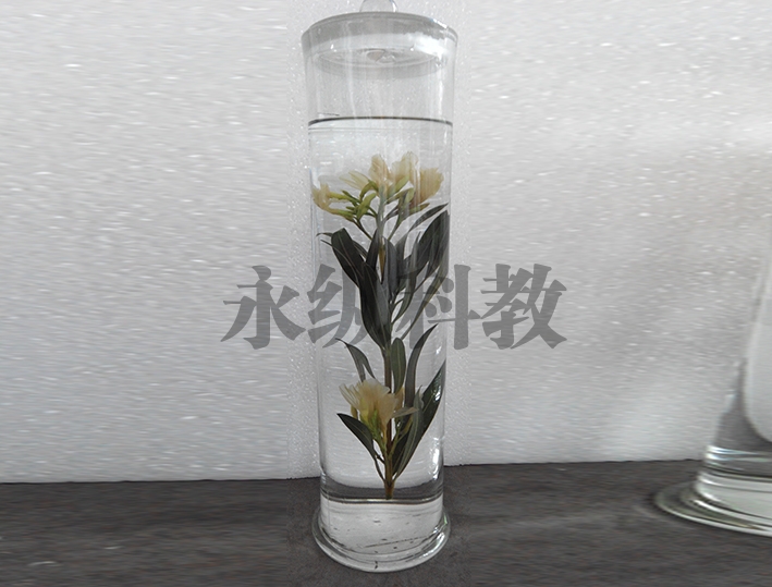 植物浸制