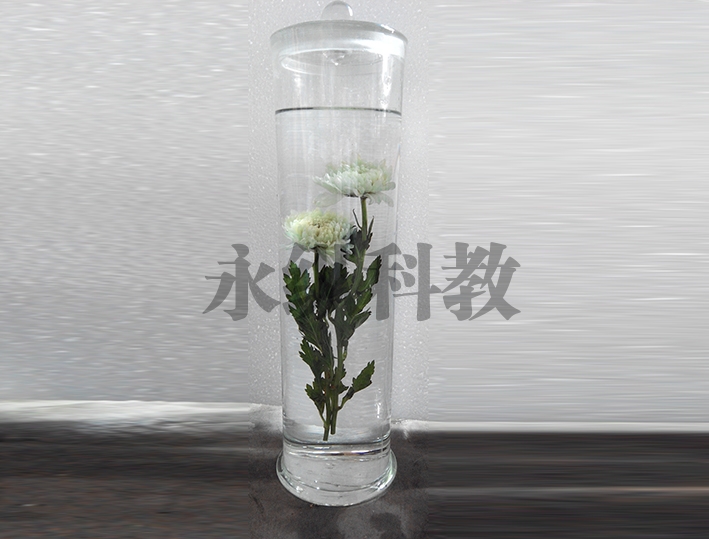 植物浸制
