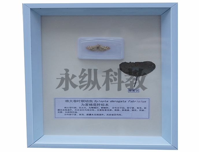 植物病害标本