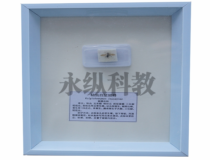 植物病害标本