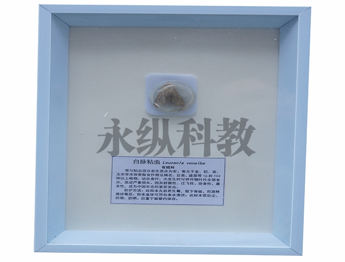 植物病害标本