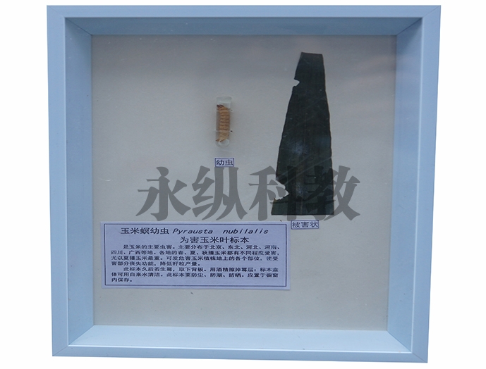 植物病害标本