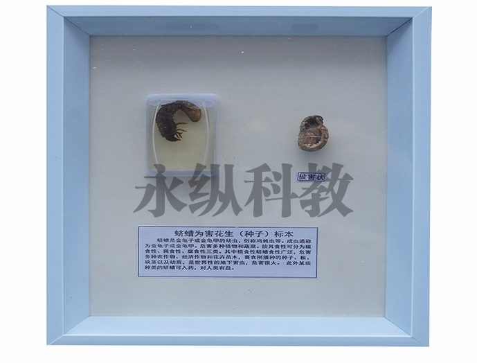 植物病害标本