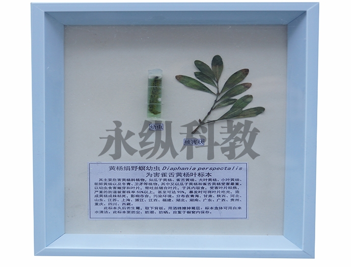 植物病害标本