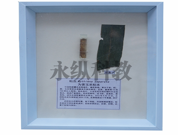 植物病害标本