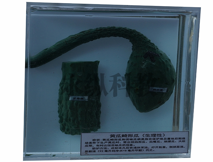 植物病害标本