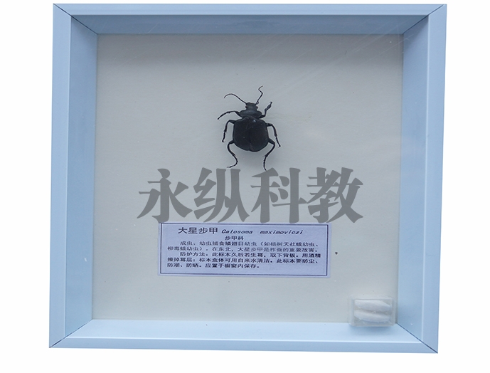 植物病害标本