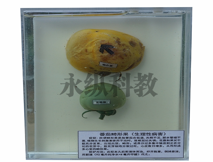 植物病害标本