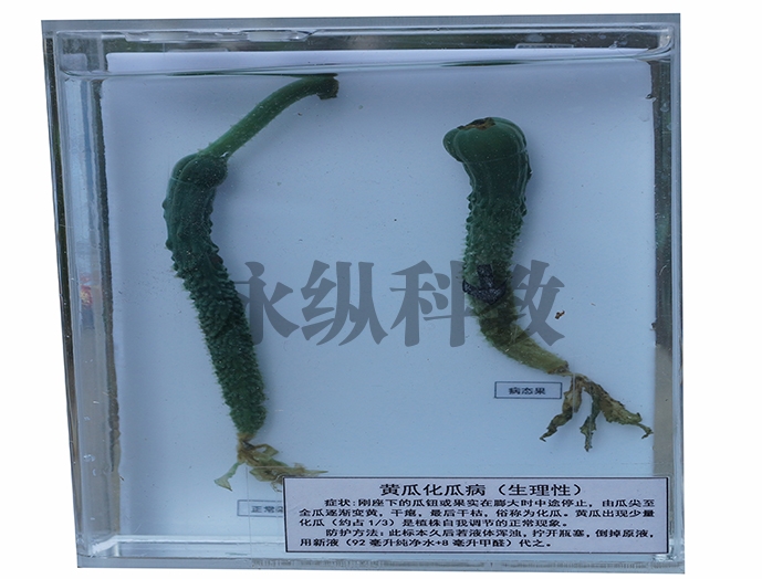 植物病害标本
