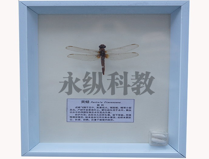 植物病害标本