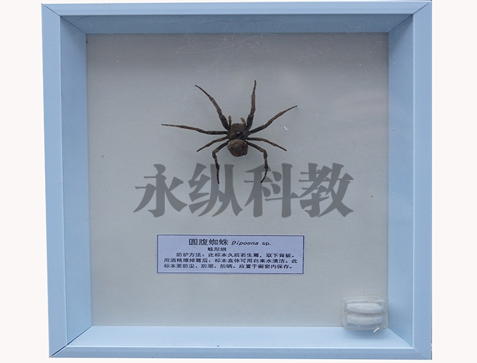 植物病害标本