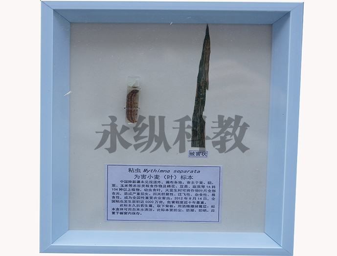 植物病害标本