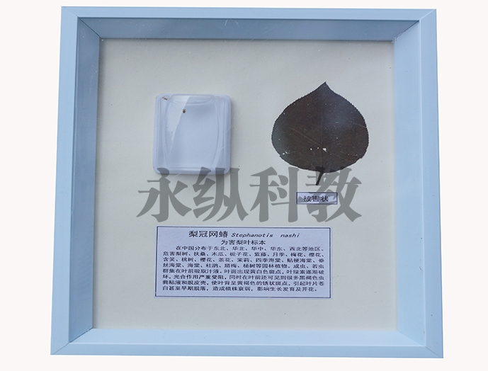植物病害标本