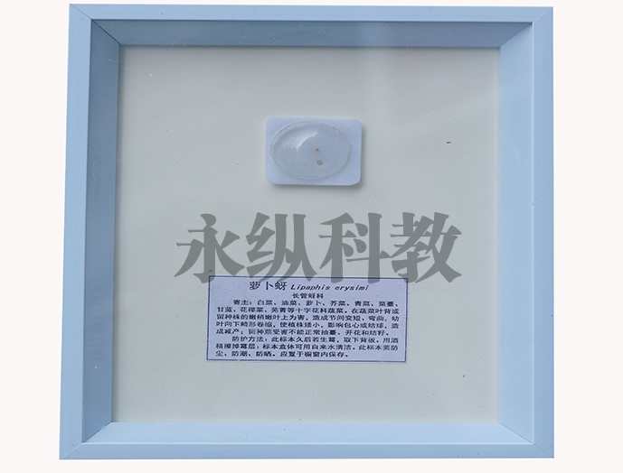 植物病害标本