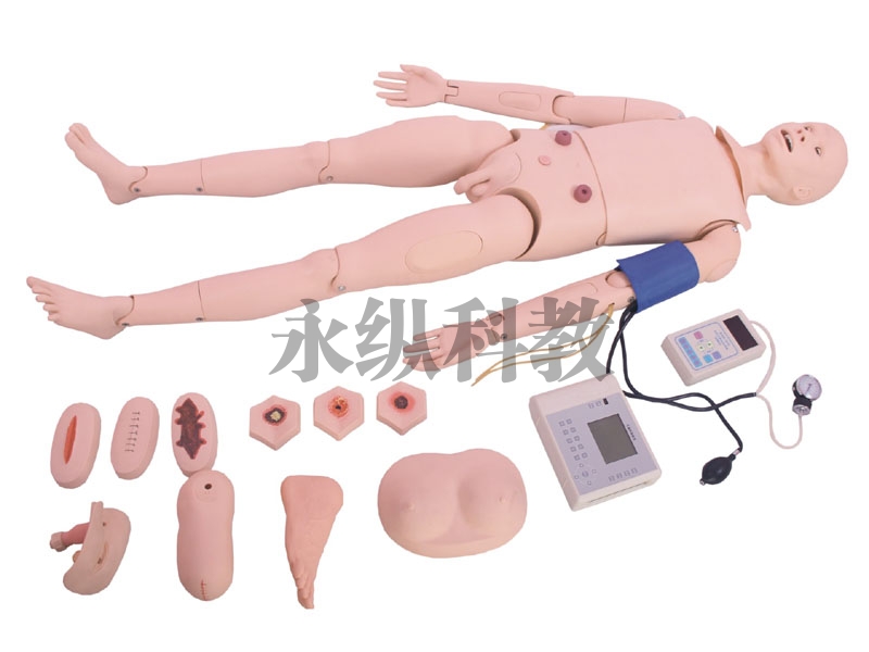 护理模型
