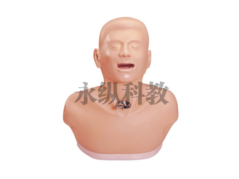 护理模型