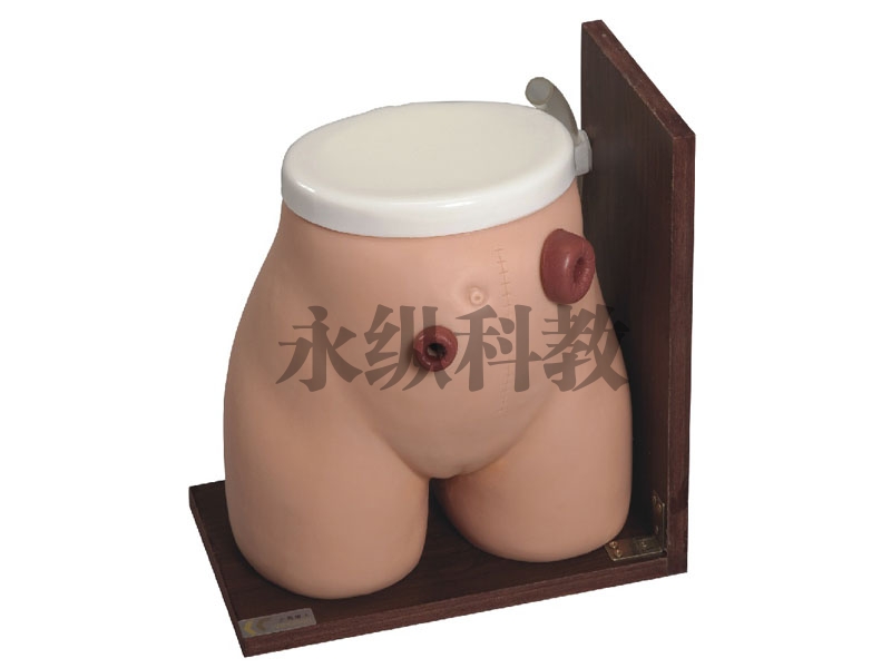 护理模型