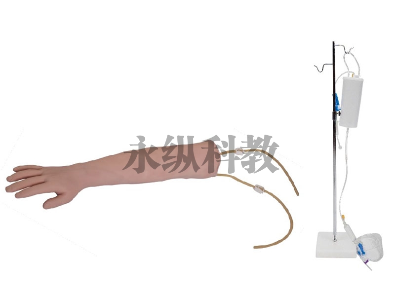 护理模型