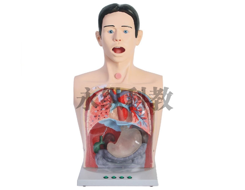 护理模型