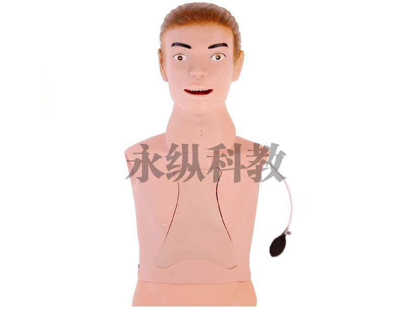 护理模型