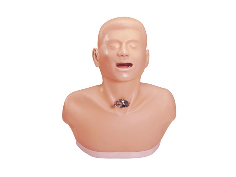 护理模型
