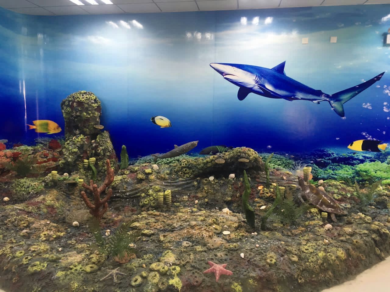 海洋生物标本馆