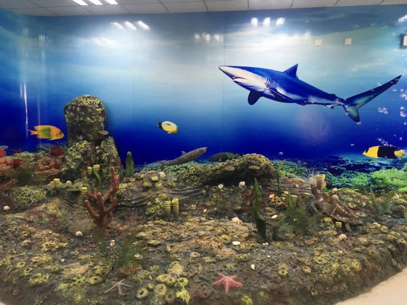海洋生物标本馆