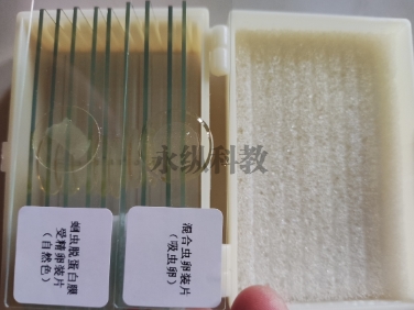生物切片制备流程解析