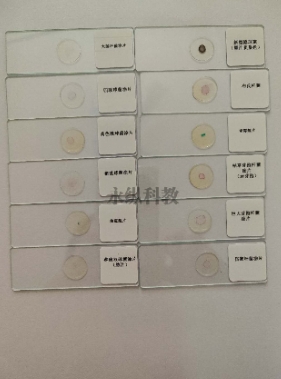生物切片技术能否用于解剖学新发现