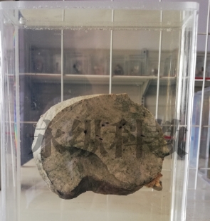 生物标本的科学意义