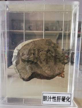 如何获取和保存生物标本