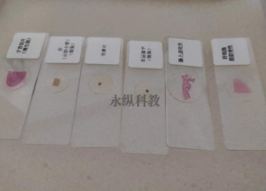  生物玻片都有哪些制作方法