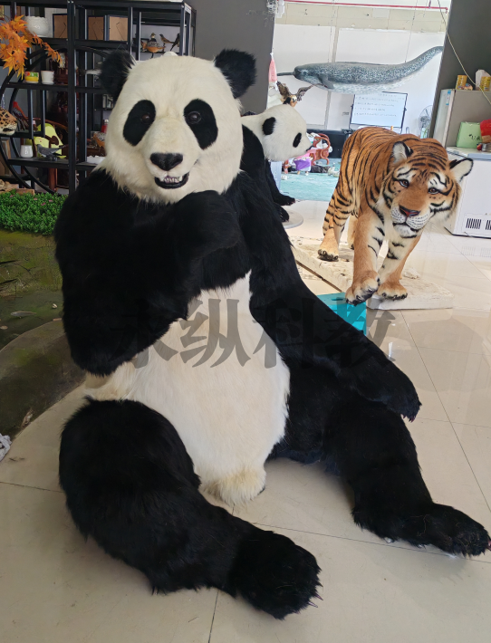 兽类仿真标本