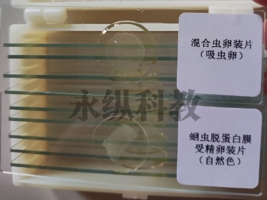 寄生虫切片技术有何特点？
