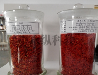 中药标本的制作流程