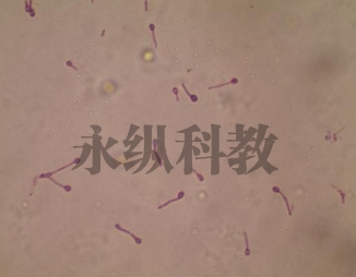 微信截图_20250516180139.png