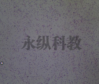 哪些因素会导致生物切片发霉