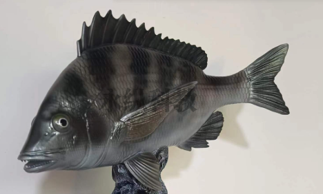 哪些生物标本适合浸制保存？