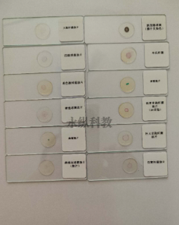 生物切片的主要步骤是什么