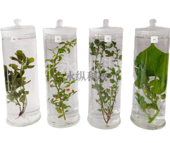 生物标本分类大全