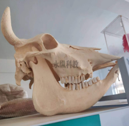 1766469450170386.png 1.png