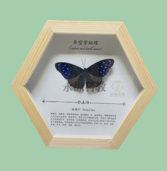 永纵科教为你讲述为什么生物标本能长久保存 永纵科教为你讲述为什么生物标本能长久保存