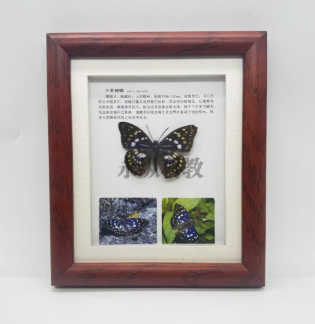 生物标本的固定、脱水实操技巧