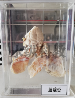 7.png